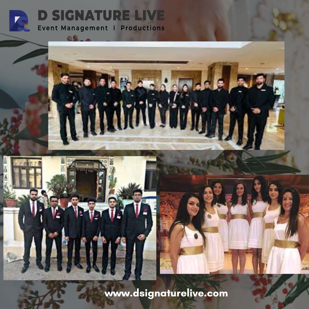 Manpower for Destination Wedding and Hospitality Service—D SIGNATURE LIVE